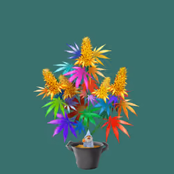 NFTokin #7194