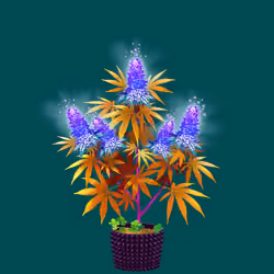 NFTokin #10138