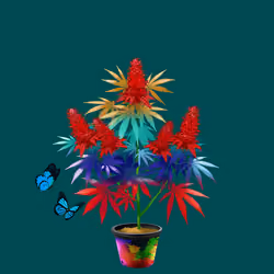 NFTokin #5731