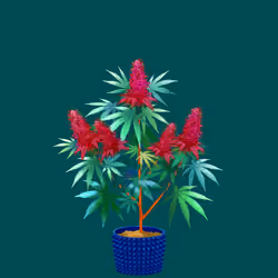NFTokin #6143