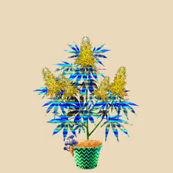 NFTokin #11798