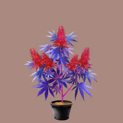 NFTokin #4867