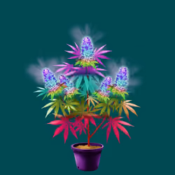 NFTokin #3654