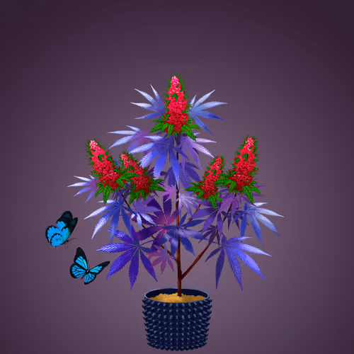 NFTokin #9568