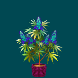 NFTokin #5691