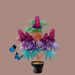 NFTokin #11170