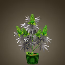 NFTokin #4821