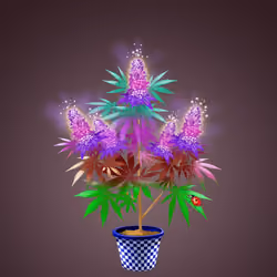 NFTokin #11628