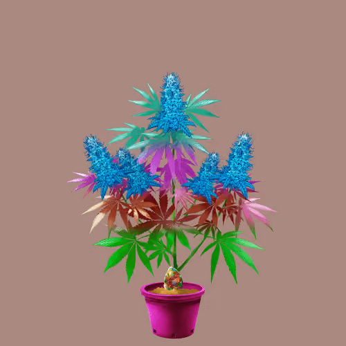 NFTokin #5623