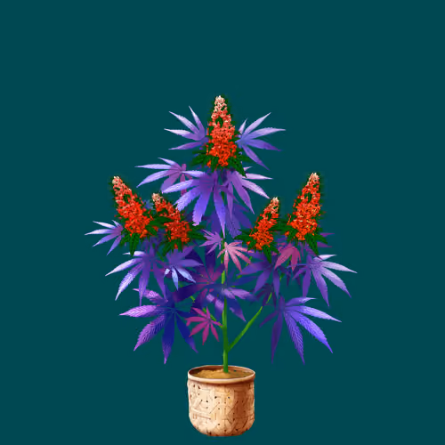 NFTokin #9661