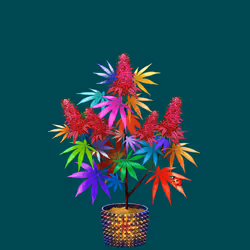NFTokin #11712