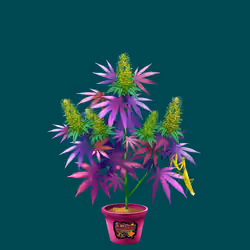 NFTokin #7521