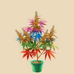 NFTokin #5752