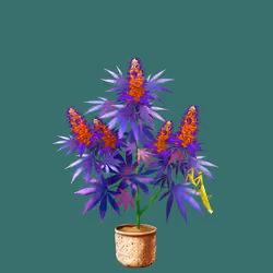 NFTokin #2877