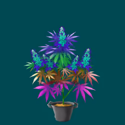 NFTokin #10724
