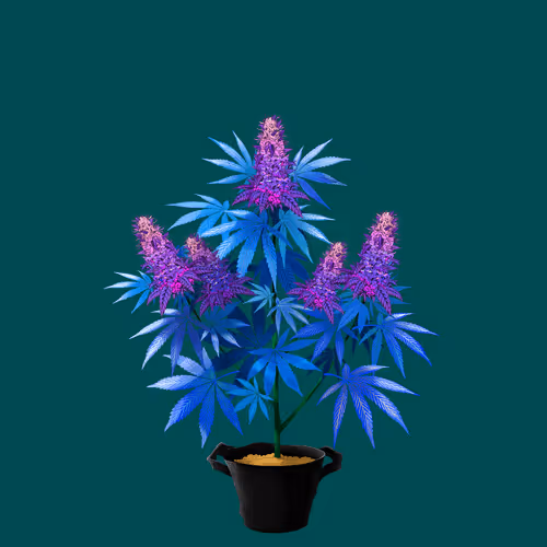 NFTokin #9977