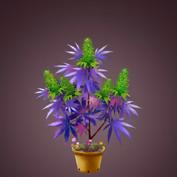 NFTokin #7407