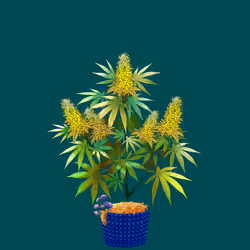 NFTokin #11722