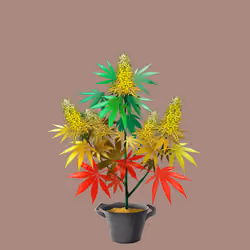 NFTokin #3094