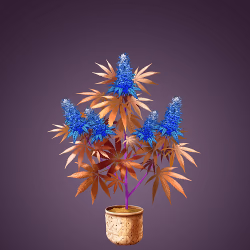 NFTokin #11436