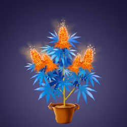 NFTokin #11127