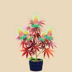 NFTokin #7522