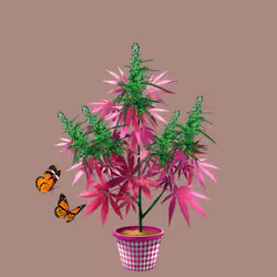 NFTokin #2603