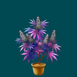NFTokin #4921