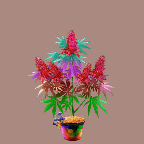 NFTokin #11854