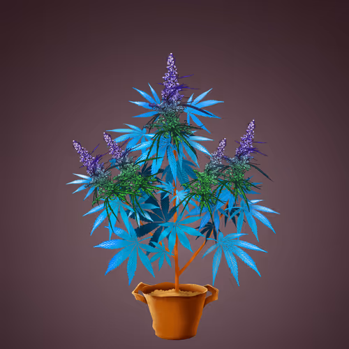 NFTokin #6406