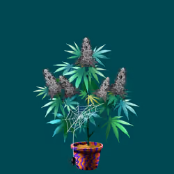 NFTokin #2148
