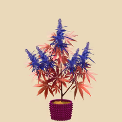 NFTokin #4224