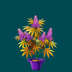 NFTokin #5719