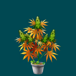 NFTokin #7464