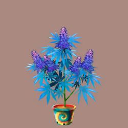 NFTokin #2378