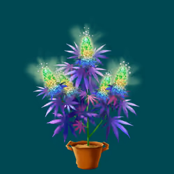 NFTokin #4083