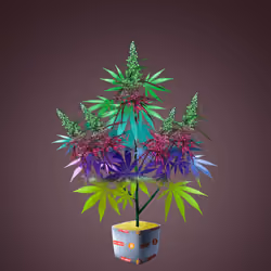 NFTokin #2746