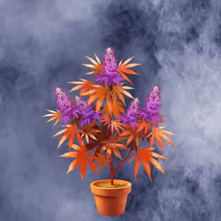 NFTokin #5210