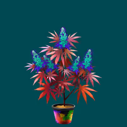 NFTokin #8600