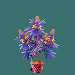 NFTokin #10820