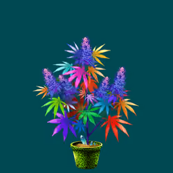 NFTokin #4304