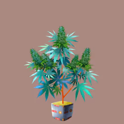 NFTokin #8980