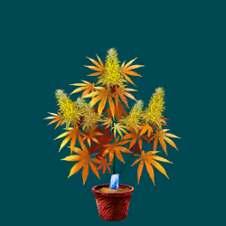 NFTokin #1920