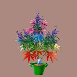 NFTokin #5151