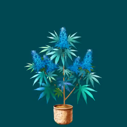 NFTokin #10041