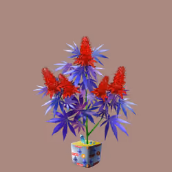 NFTokin #4398