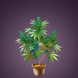 NFTokin #3152