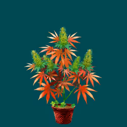 NFTokin #5696