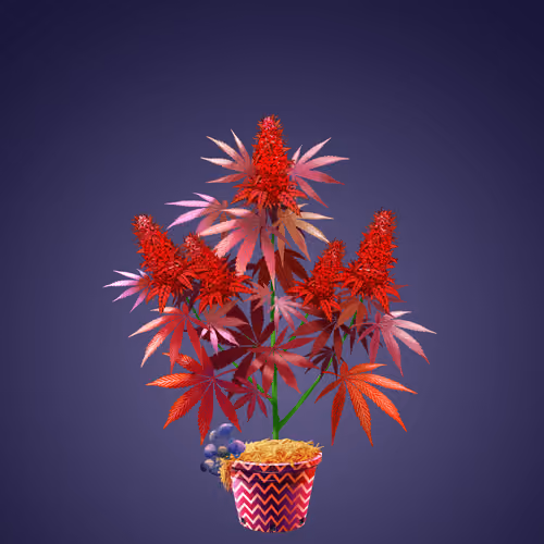 NFTokin #4109