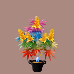 NFTokin #6007